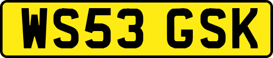 WS53GSK