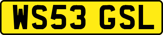 WS53GSL