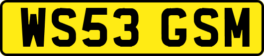 WS53GSM