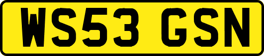 WS53GSN