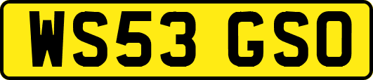 WS53GSO