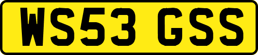 WS53GSS