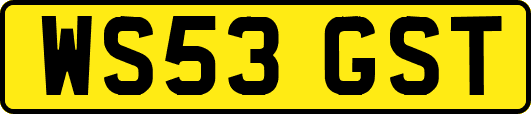 WS53GST