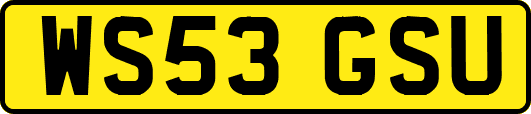 WS53GSU