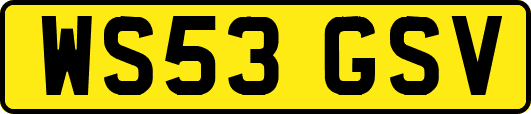WS53GSV