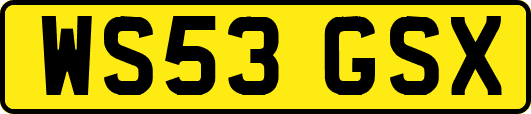WS53GSX