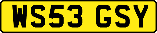 WS53GSY