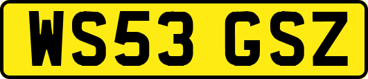 WS53GSZ