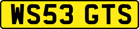WS53GTS