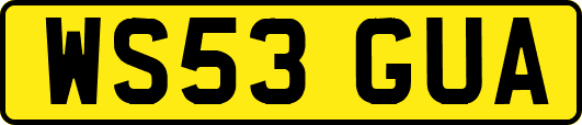 WS53GUA