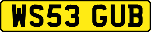 WS53GUB