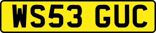 WS53GUC