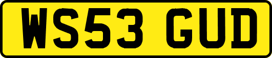 WS53GUD