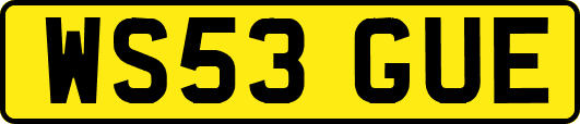 WS53GUE