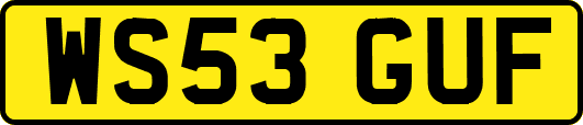 WS53GUF