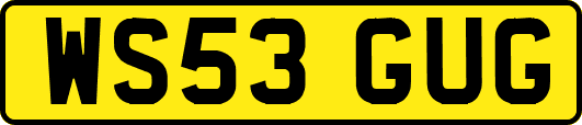 WS53GUG
