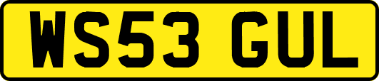 WS53GUL