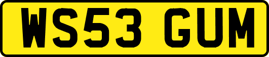 WS53GUM