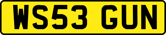 WS53GUN