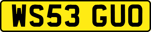 WS53GUO