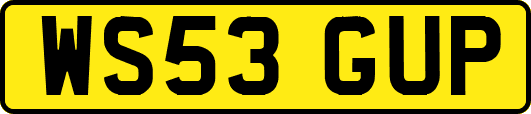 WS53GUP