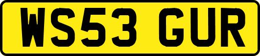 WS53GUR
