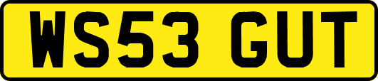 WS53GUT