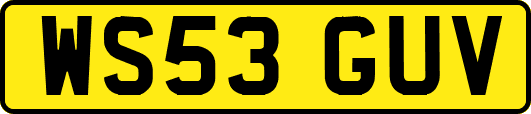 WS53GUV