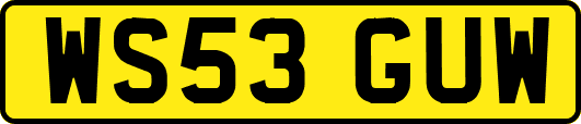 WS53GUW