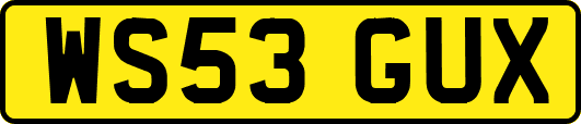 WS53GUX