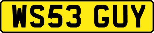 WS53GUY