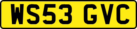 WS53GVC