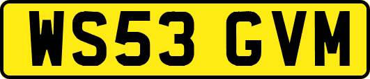 WS53GVM