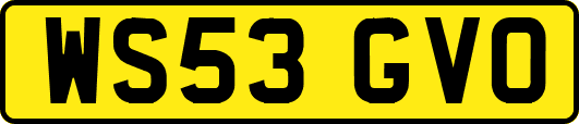 WS53GVO