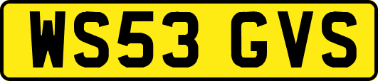 WS53GVS