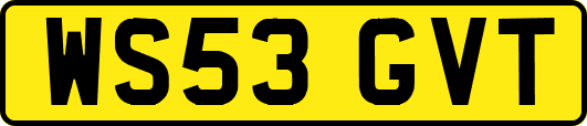 WS53GVT