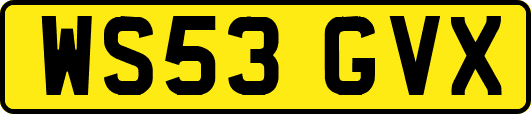 WS53GVX