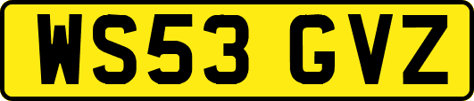 WS53GVZ