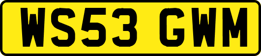 WS53GWM