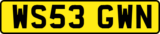 WS53GWN