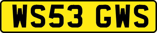 WS53GWS