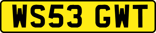 WS53GWT
