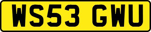 WS53GWU