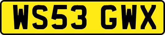 WS53GWX