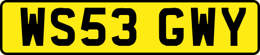 WS53GWY