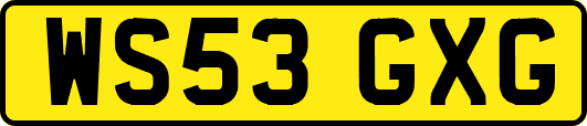 WS53GXG