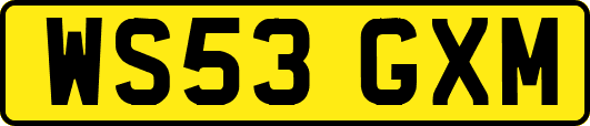 WS53GXM