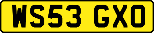 WS53GXO