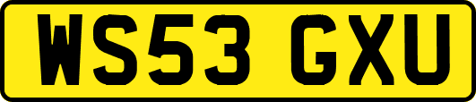 WS53GXU