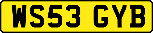 WS53GYB
